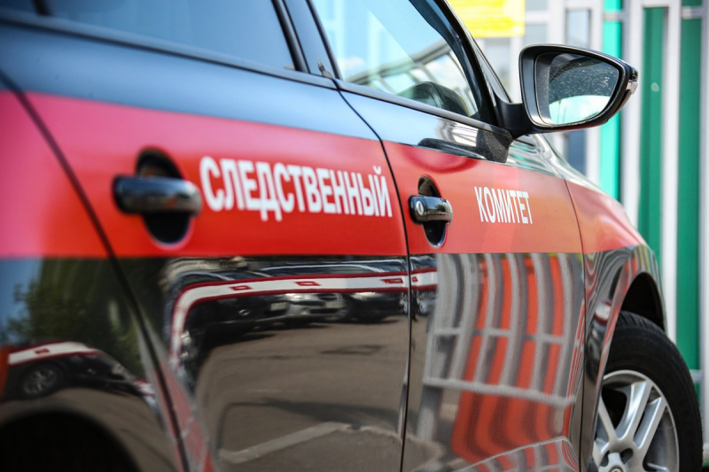 Нападение белоруса на чужого ребенка в аэропорту Шереметьево