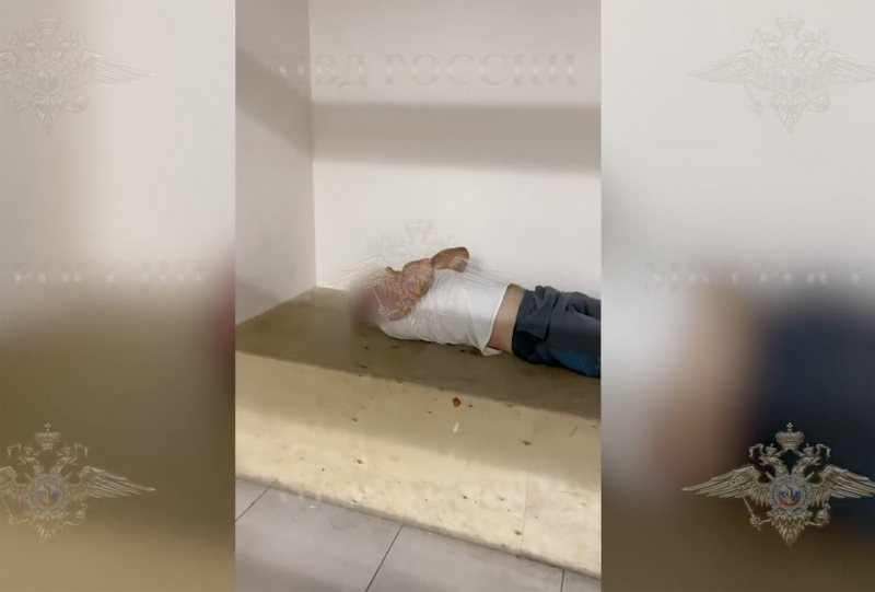 Нападение белоруса на чужого ребенка в аэропорту Шереметьево