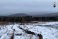 Раскрыта главная версия пропажи Усольцевых в российской тайге