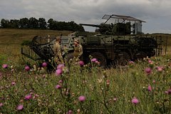 В двух странах ЕС жители выступили за территориальные уступки со стороны Украины