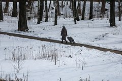 Вероятность скорого выпадения снега в европейской части России оценили