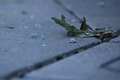 Курск подвергся атаке украинских беспилотников