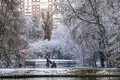 Москвичам посоветовали не ждать полноценной зимы
